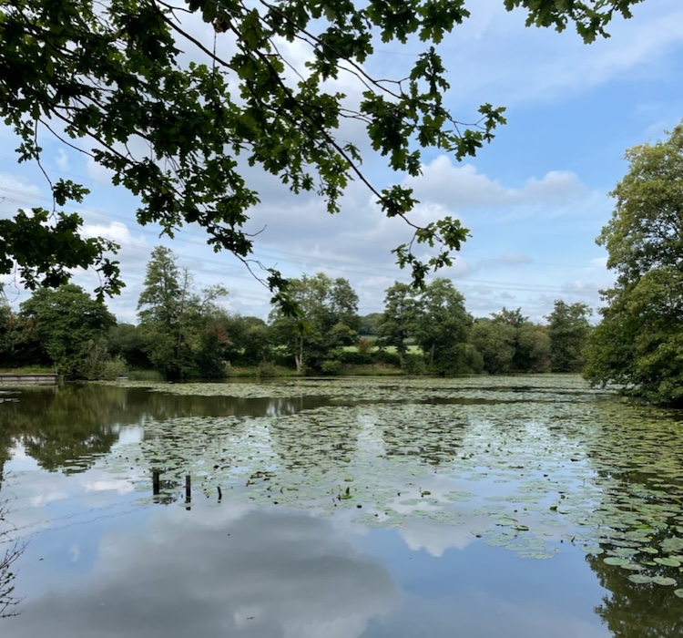 Bedelands Nature Reserve